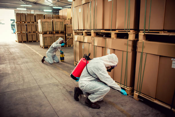 Best Wasp Removal Services  in Leawood, KS